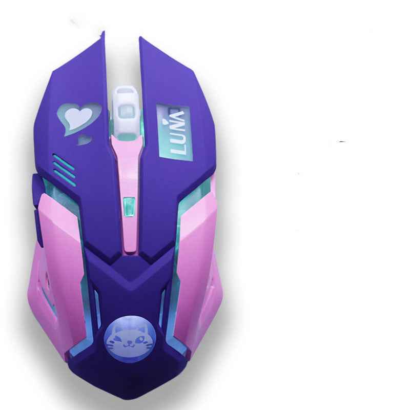 2400 DPI Wireless Silent Gaming Mouse | 6 Buttons | Silent Click | Ergonomic | Desktop & Laptop | Pink & Blue