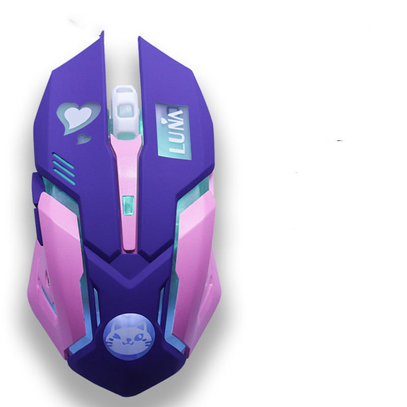 2400 DPI Wireless Silent Gaming Mouse | 6 Buttons | Silent Click | Ergonomic | Desktop & Laptop | Pink & Blue