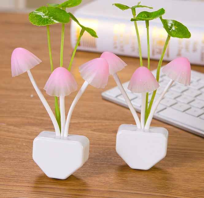 Magic Mushroom LED Night Light | 3-Colour Glow | Light Sensor | Ceramic Pot | Aquatic & Lotus Leaf | Single & Twin Pack