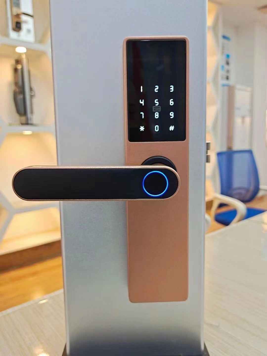 Smart Fingerprint Door Lock | Alloy | Fingerprint, WiFi, App, Password & Card Access | Black & Rose Gold