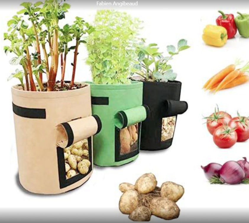 Non-Woven Plant Grow Bag | Breathable & Degradable | Side Harvest Window | Double Handles | Reusable | Small, Medium & Large | 1–6pc Packs | Potato, Tomato & Vegetable Growing | Black, Green, Camel Brown & Light Gray