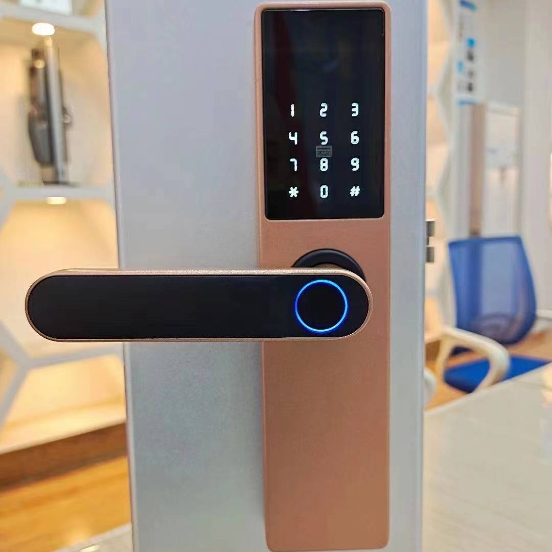 Smart Fingerprint Door Lock | Alloy | Fingerprint, WiFi, App, Password & Card Access | Black & Rose Gold