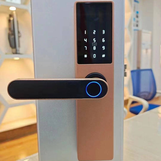 Smart Fingerprint Door Lock | Alloy | Fingerprint, WiFi, App, Password & Card Access | Black & Rose Gold
