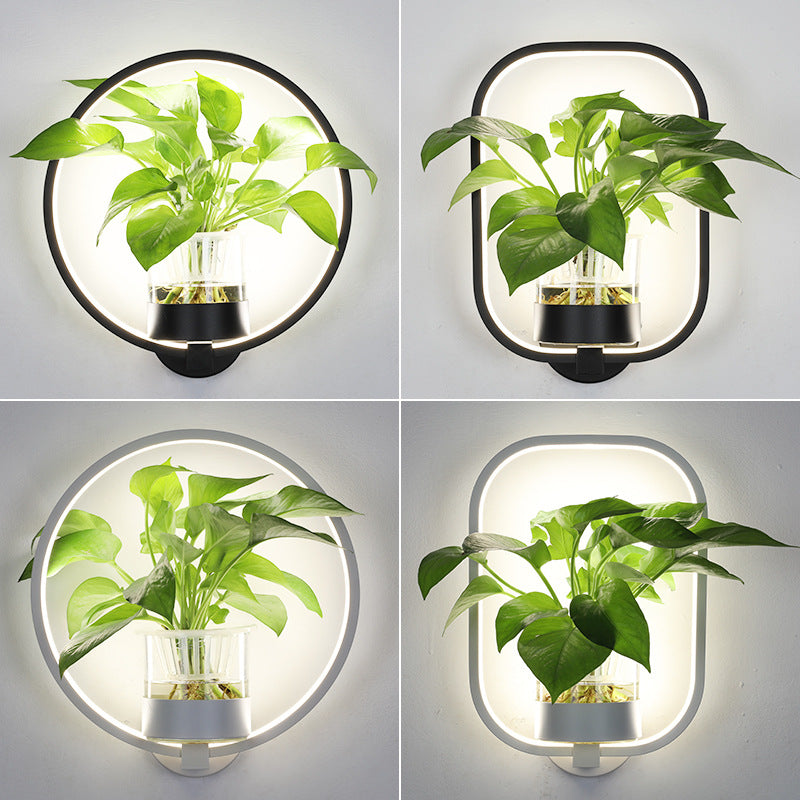Iron Decorative Wall Lamp with Planter Basket | 18W LED | Round & Square | Natural Light & Tricolor | Black & White | Living Room & Bedroom