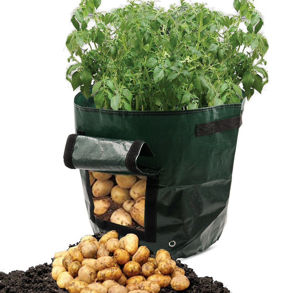 PE Garden Grow Bag | Breathable | Drainage Holes | Side Harvest Window | Double Handles | Reusable & Foldable | White/Green & Black | 5 Sizes | Balcony, Garden & Outdoor Planting