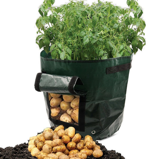 PE Garden Grow Bag | Breathable | Drainage Holes | Side Harvest Window | Double Handles | Reusable & Foldable | White/Green & Black | 5 Sizes | Balcony, Garden & Outdoor Planting