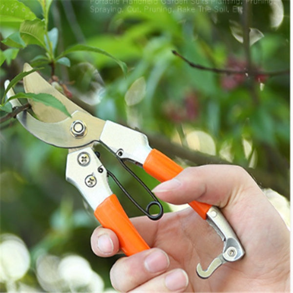 12-Piece Alloy Steel Garden Tool Set | Household Garden Kit | Trowel, Rake, Cultivator & More | 39×28×9cm | Durable & Lightweight | Home Garden & Planting