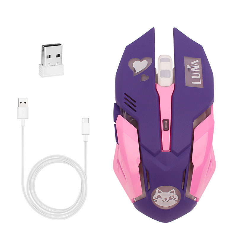2400 DPI Wireless Silent Gaming Mouse | 6 Buttons | Silent Click | Ergonomic | Desktop & Laptop | Pink & Blue