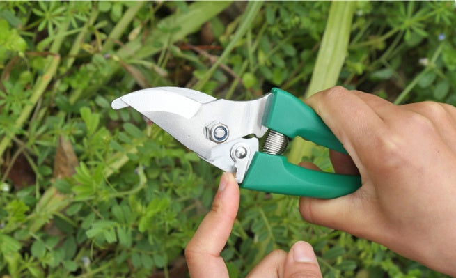 Garden Tool Set | Iron Head & Plastic Handle | Single, 5-Piece & 10-Piece Sets | Green & Purple | Trowel, Rake & More | Lightweight & Durable | Home Garden & Planting