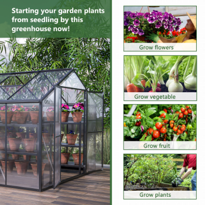 8'×12' Heavy-Duty Polycarbonate Walk-In Greenhouse | Aluminum Frame, UV Guard, Double Doors, Gutter System, Black