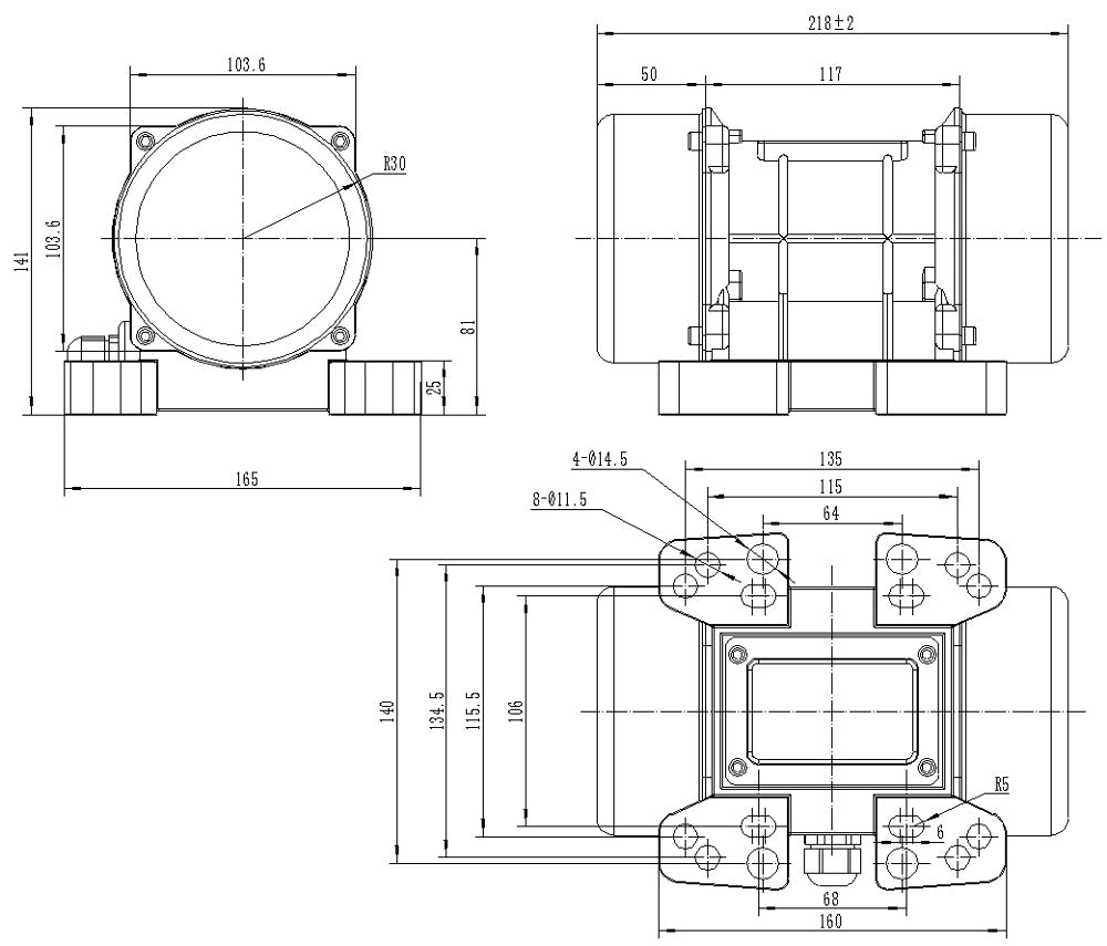 MVE200DC 160W Brushed DC Vibration Motor | 12V & 24V, 3000 RPM, Speed Control Option, Industrial Use