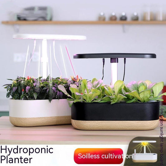 Z211S Smart Hydroponic Indoor Planter | 4.2L Tank, Soilless Cultivation, EU/UK/US Plug, Beige & Black