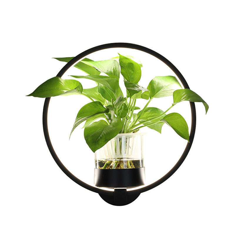 Iron Decorative Wall Lamp with Planter Basket | 18W LED | Round & Square | Natural Light & Tricolor | Black & White | Living Room & Bedroom