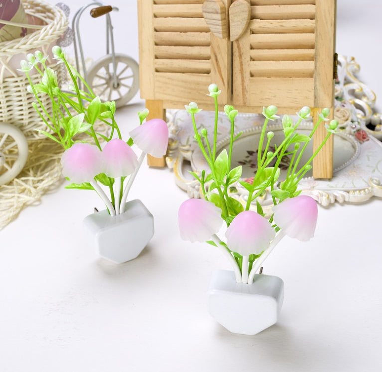 Magic Mushroom LED Night Light | 3-Colour Mushrooms | Light Sensor | 0.2W | Ceramic Pot | 45×135mm | US & EU Plug | Aquatic & Lotus Leaf | Single & Twin Pack