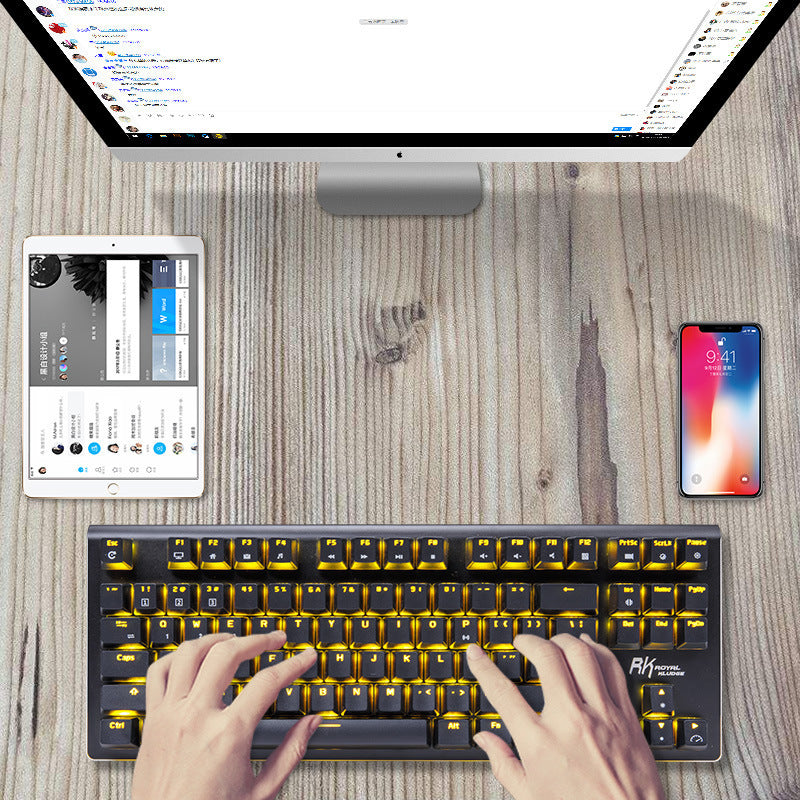 G-87 TKL Mechanical Keyboard | 87 Keys | USB & Bluetooth 3.0 | Blue, Brown & Red Switch | ABS Keycaps