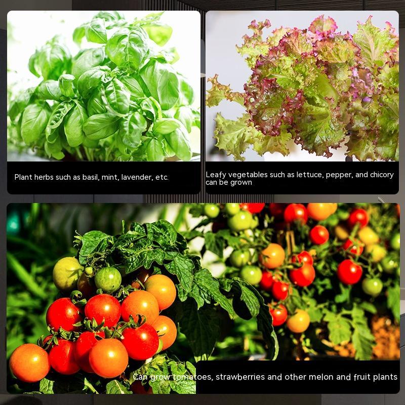 Z211S Smart Hydroponic Indoor Planter | 4.2L Tank, Soilless Cultivation, EU/UK/US Plug, Beige & Black