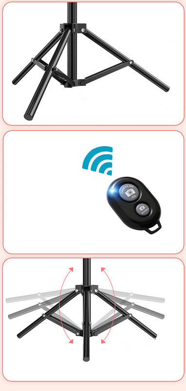 10-Inch Ring Light with 19cm Metal Bracket | Live Fill Light | Rotatable | Smartphone Compatible | Selfie & Streaming