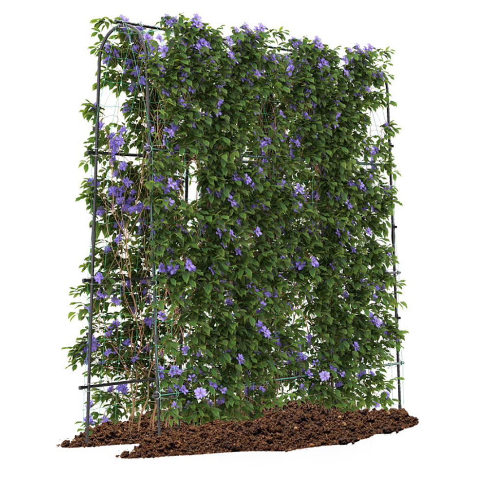 71" U-Shaped Garden Arched Trellis | PE-Coated Metal, Adjustable Width, Climbing Plants, Black