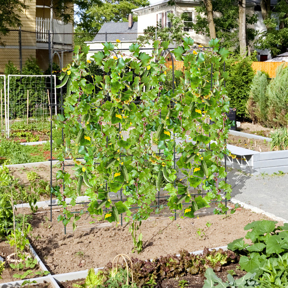 71" U-Shaped Garden Arched Trellis | PE-Coated Metal, Adjustable Width, Climbing Plants, Black