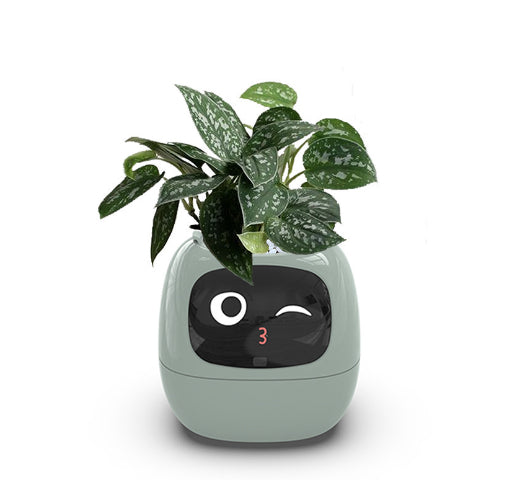 Smart AI Electronic Plant Pot – 7 Sensors, 49+ Expressions & Intelligent Water Monitor